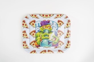 Stoner Pizza Loving Turtle (Large)